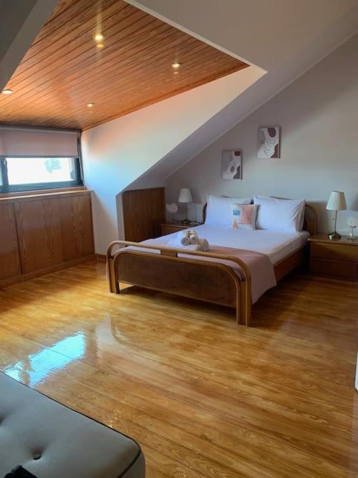 Attic View Palatia Apartment Nea Palatia Ngoại thất bức ảnh